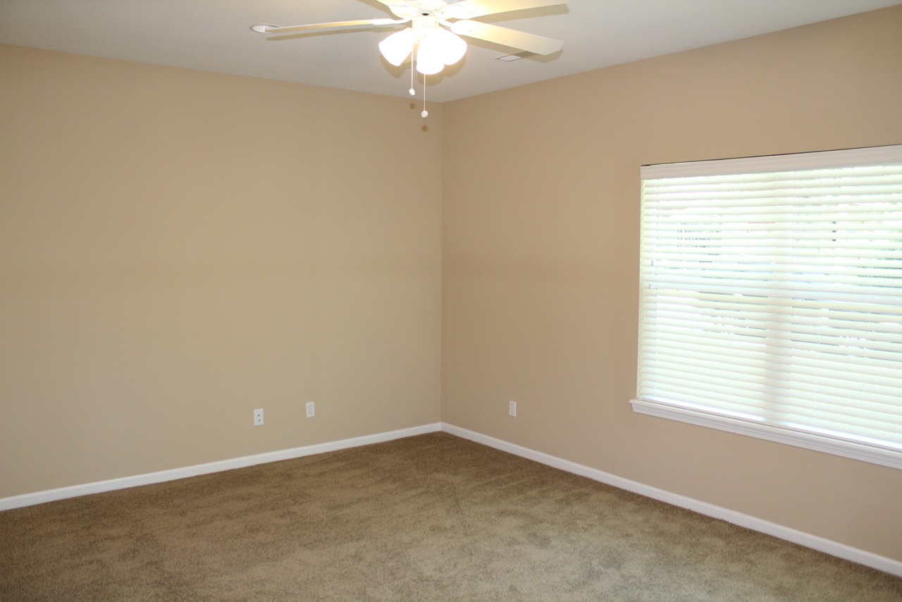 219 Ann Street #101